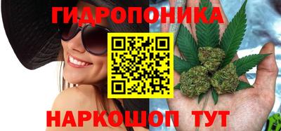 соль ск Дубна